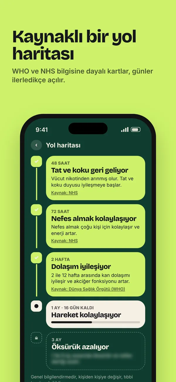 Kaynaklı yol haritası